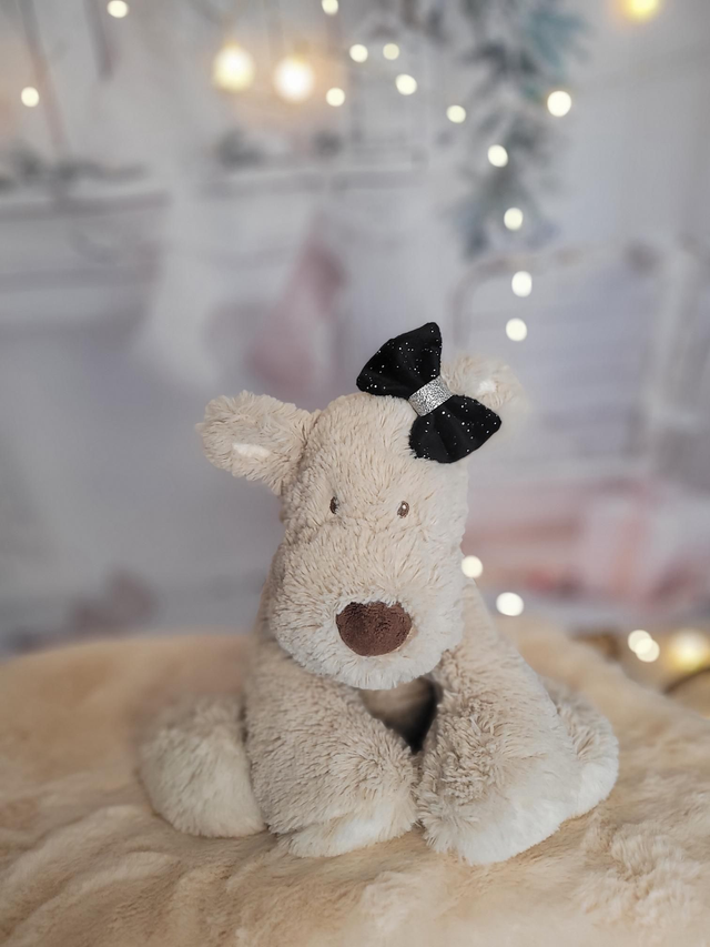 Grande barrette noir et argenté 