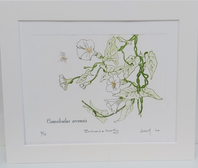 Bindweed and Butterfly by NikkiM