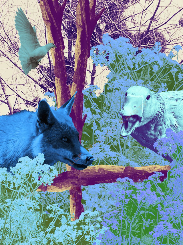 Rencontre au Chateau