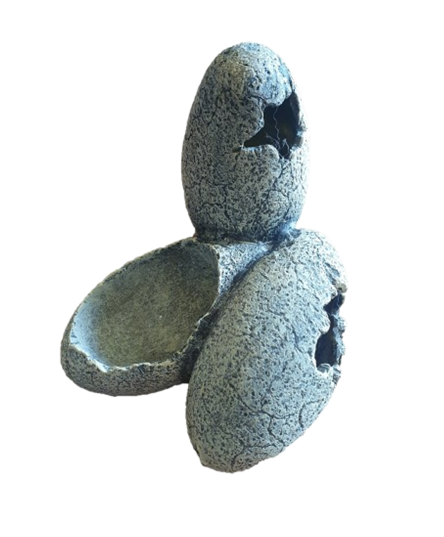 Déco oeufs