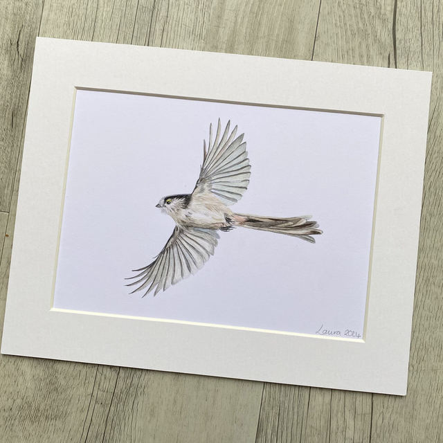 Long-tailed Tit in Flight Original Drawing