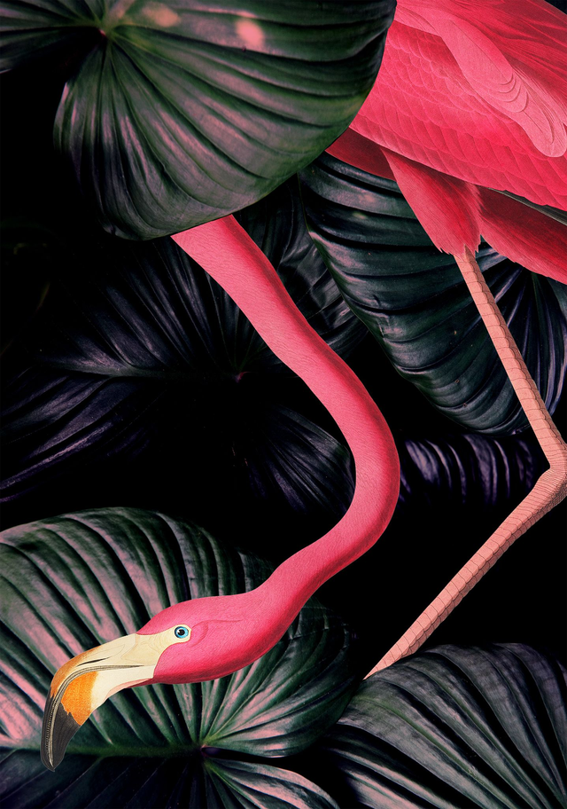 Flamingo in the Jungle A1
