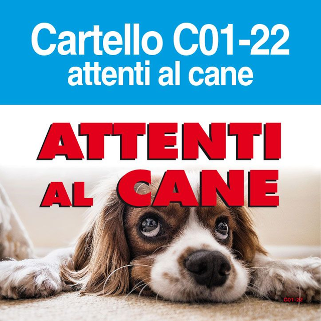 Attenti al Cane C01-22