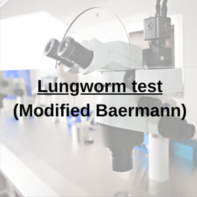 Lungworm test