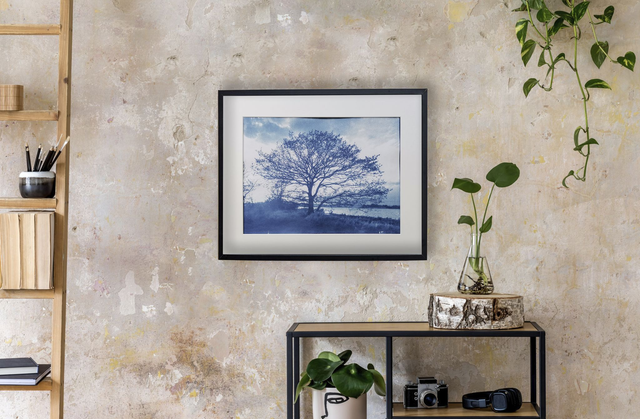 Cyanotype A3 Vannes "1813"  N°2