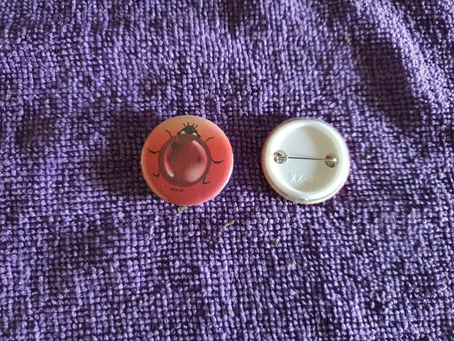 badge épingle coccinelle
