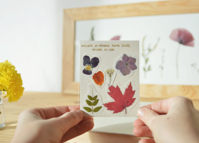 Autocollants de plantes séchées