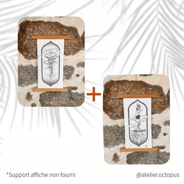 Duo Print Méduse &amp; Rouge Gorge