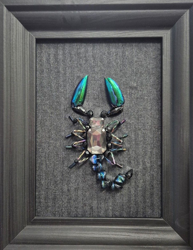 14.3.2026 // Cadre insecte en perle 🪲LIMITED