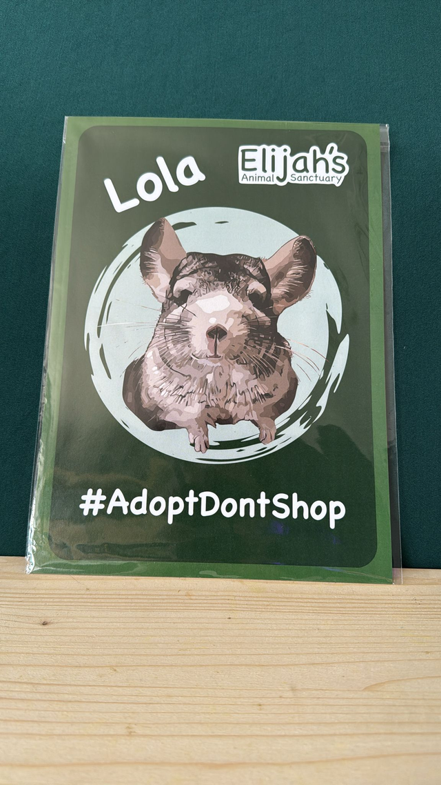 Lola Poster