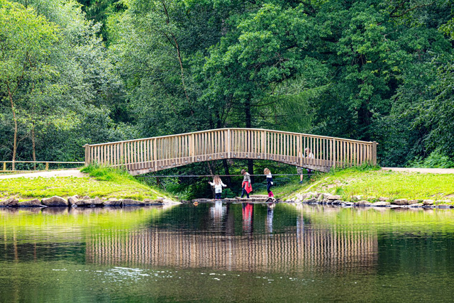 Fun under the bridge