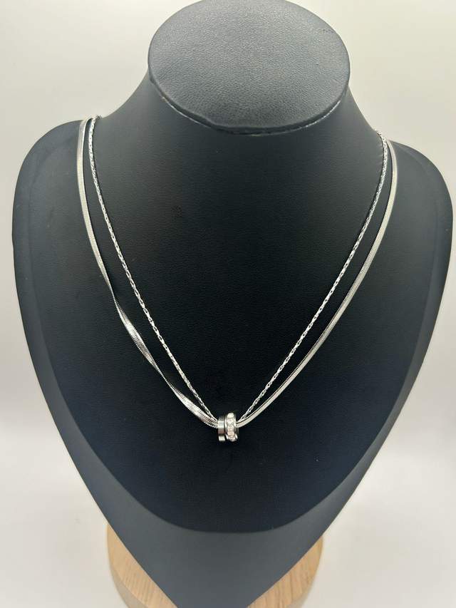Stainless Steel Necklace (SSN49J)