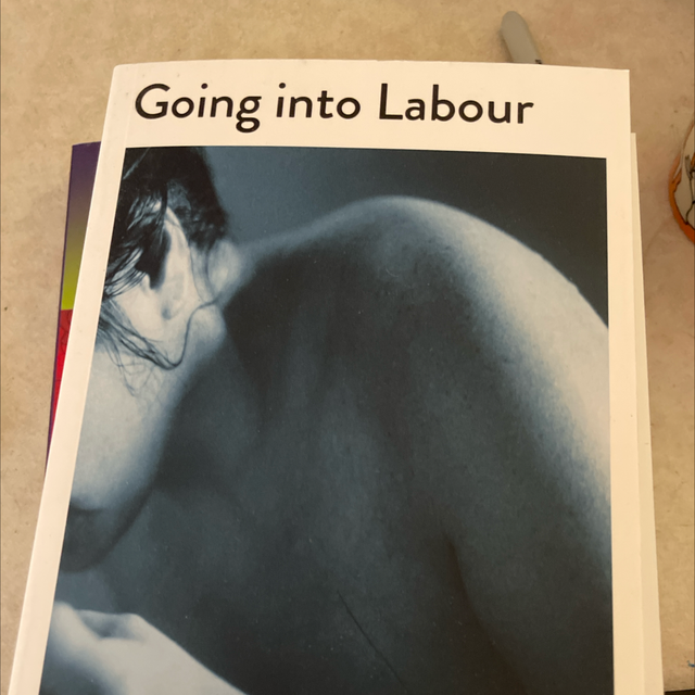 Going Into Labour Anna Fielder