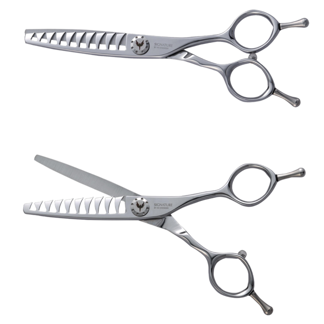 FUSION 10 - Die Vereinende