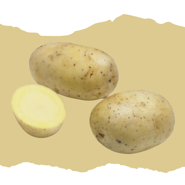 AGATA – Précoce &amp; polyvalente