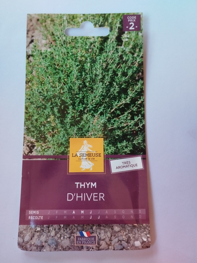 Thym d&#039;hiver