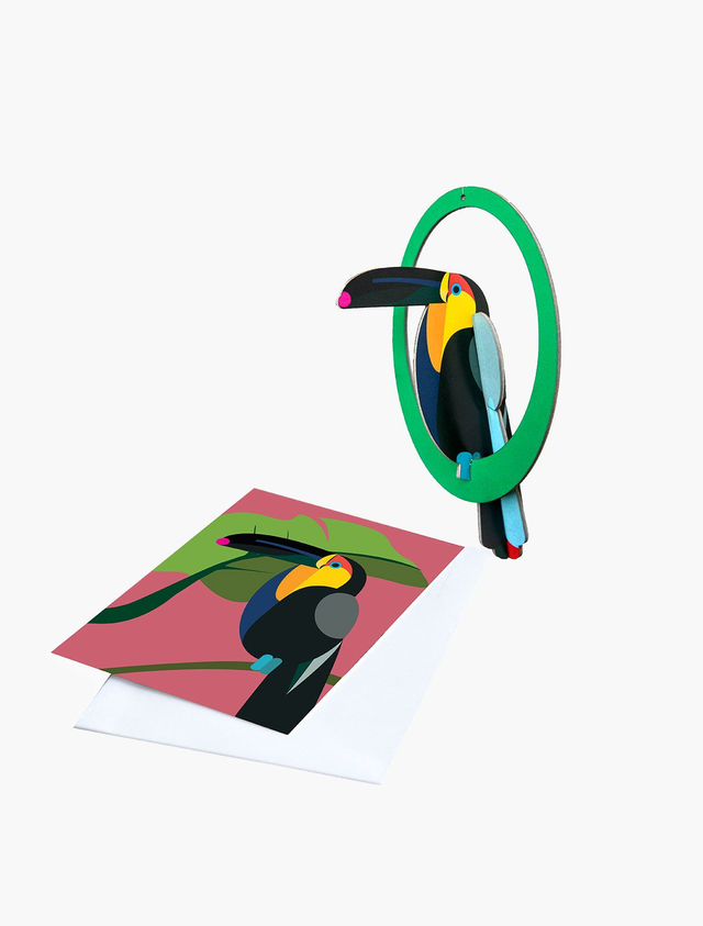 Swinging Toucan