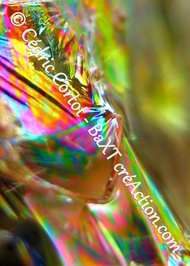 Carte postale - Paysages et divers (Ref IMG_0450)