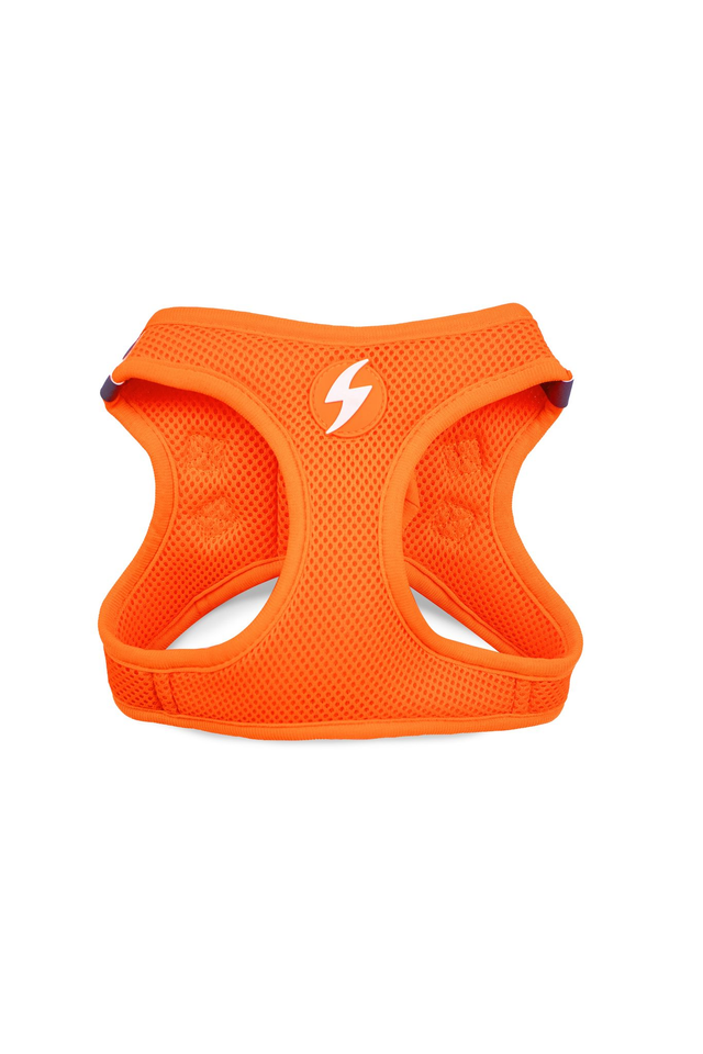 Neon Orange Oxy Mesh