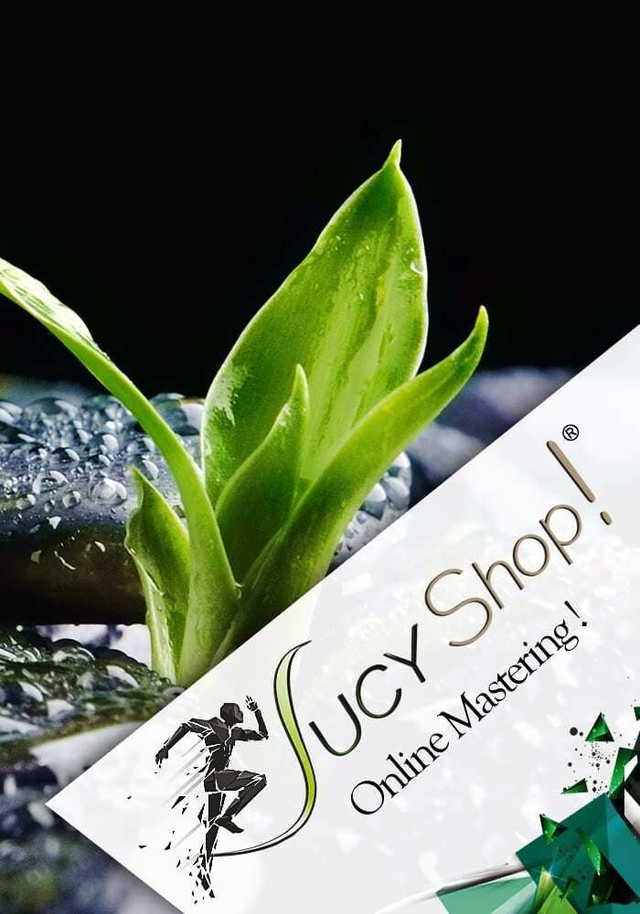 Pack zen expert 1 mois