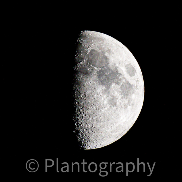 Half moon limited edition poster print