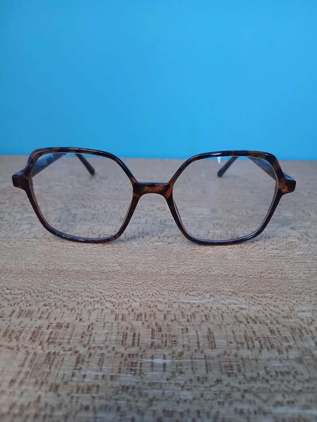 Monture  Opal  343 C77 53×17