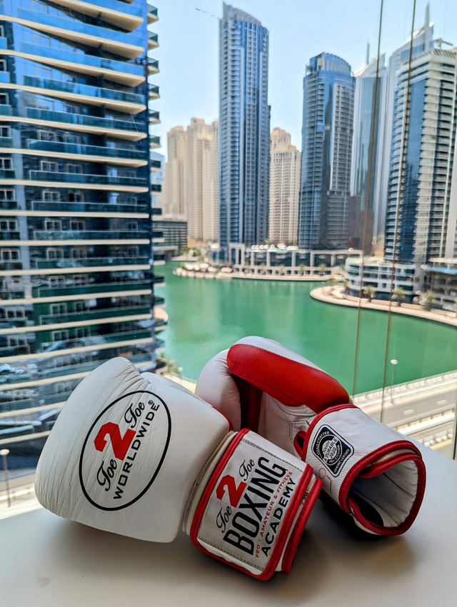 WIN THESE LUXUARY 'LIMITED EDITION' HAND CRAFTED BOXING GLOVES 