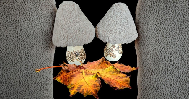 Champignon d'automne 🍄🟫