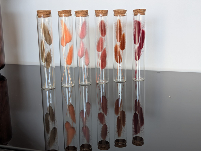 Fioles en verre (x6) - Potions fleuries d'automne 2