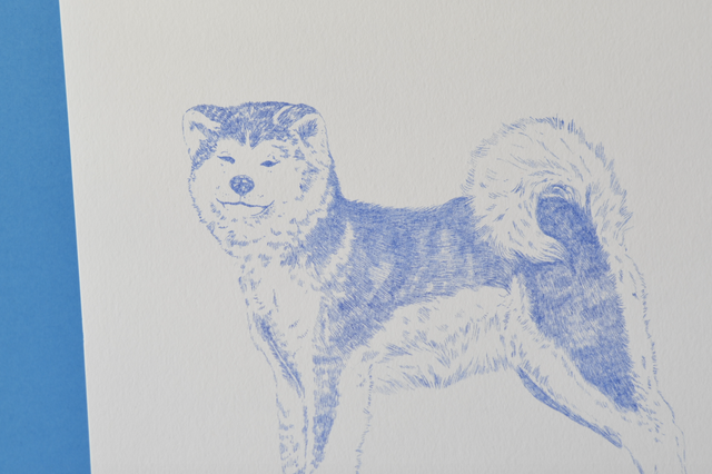 Affichette A4 akita inu - série les animaux bleus -
