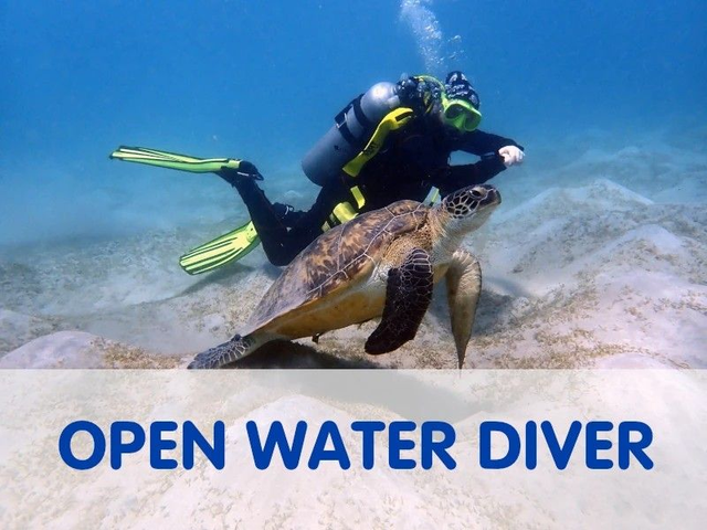 Open Water Diver OWD Kurs ONLINEKURS Theorie