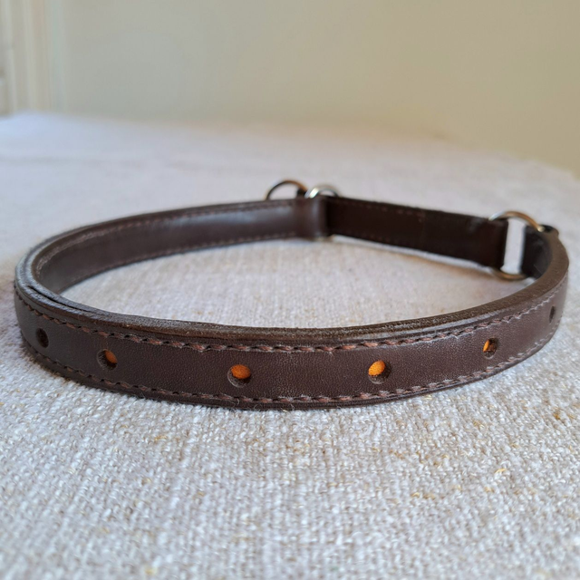 Kaulapanta, puolikiristävä, oranssit pallot