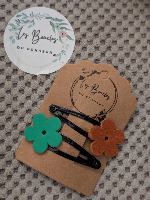 Barrette b025
