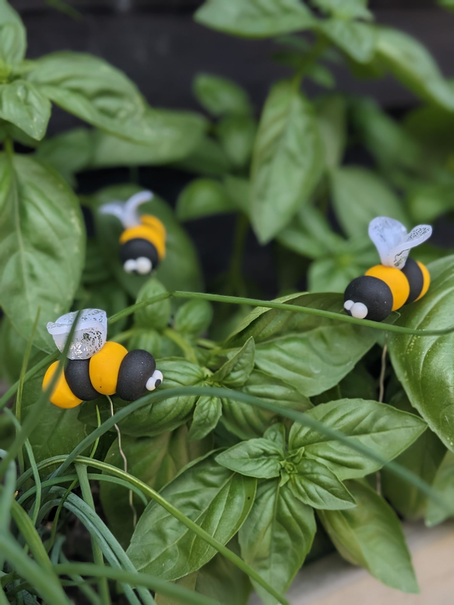 Abeille de pOolinisation