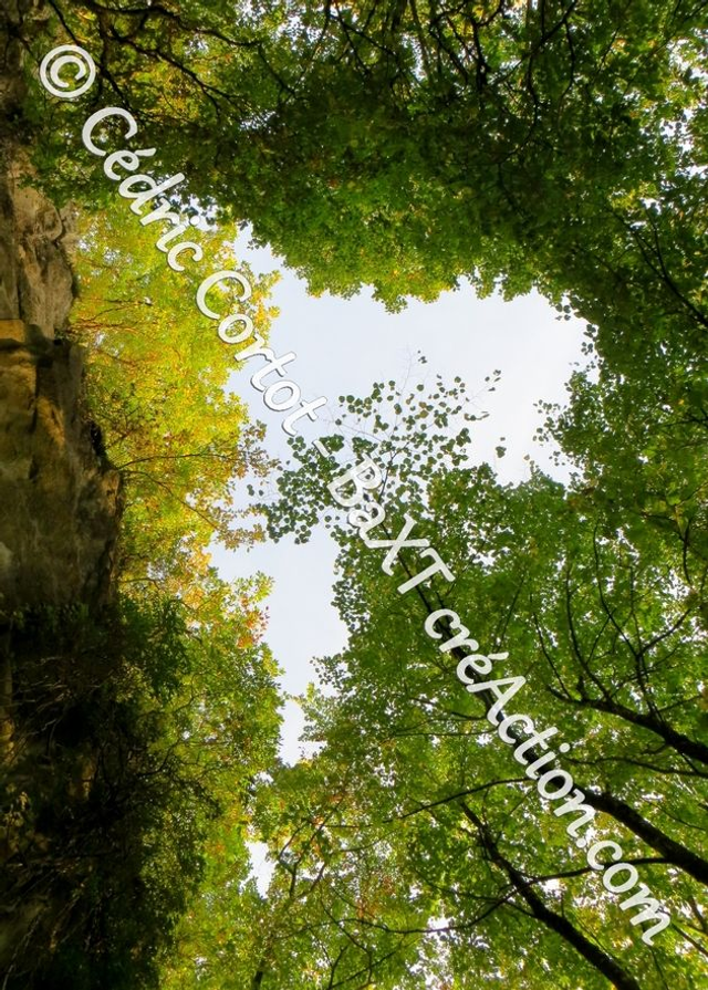 Carte postale - Paysages et divers (Ref IMG_8802)