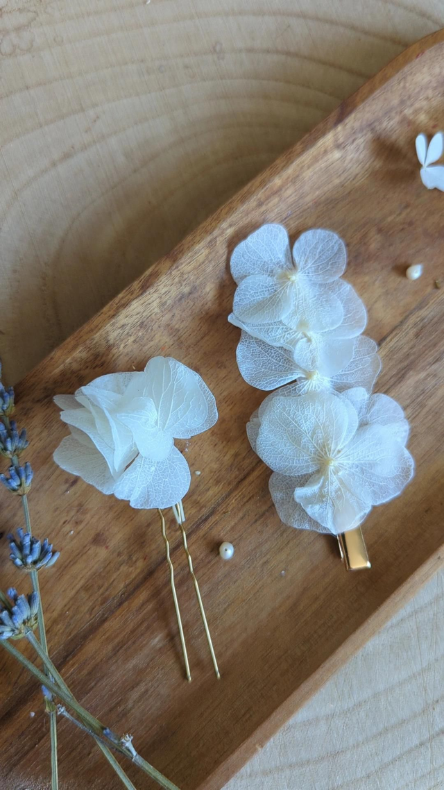 Barrette croco - Cotton Bloom