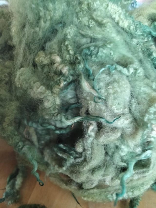 Morceau de toison BFL 67g Boucles0008