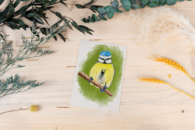 Graspapierkarte - Buntstift-Blaumeise 