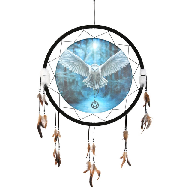 Anne Stokes “Awaken Your Magic” Dream Catcher