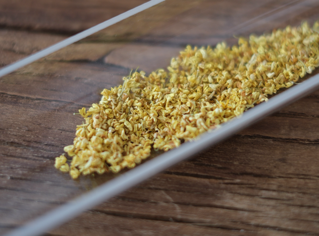 满觉陇老树金桂花FLEUR OSMANTHUS