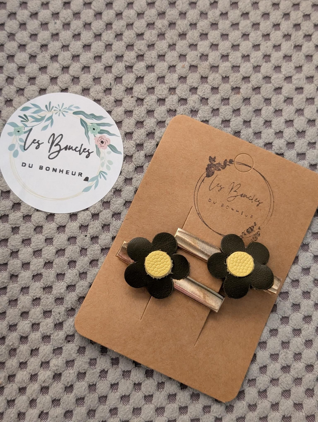 Barrette b071