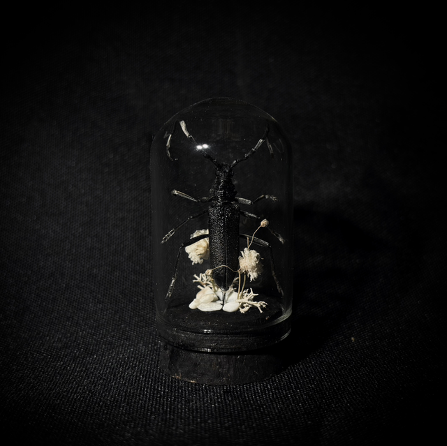 Miniature - Plusieurs choix