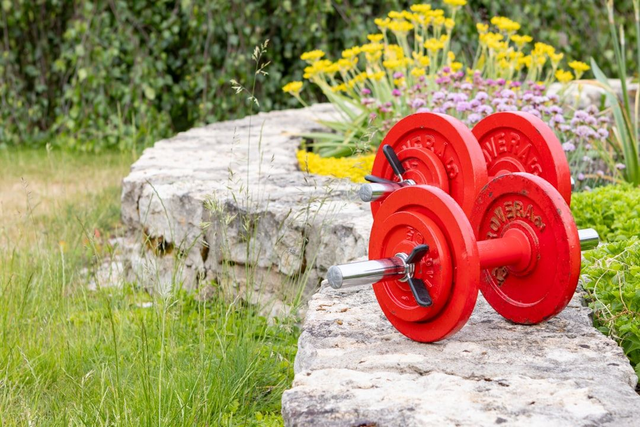 Your Home Strength Series 