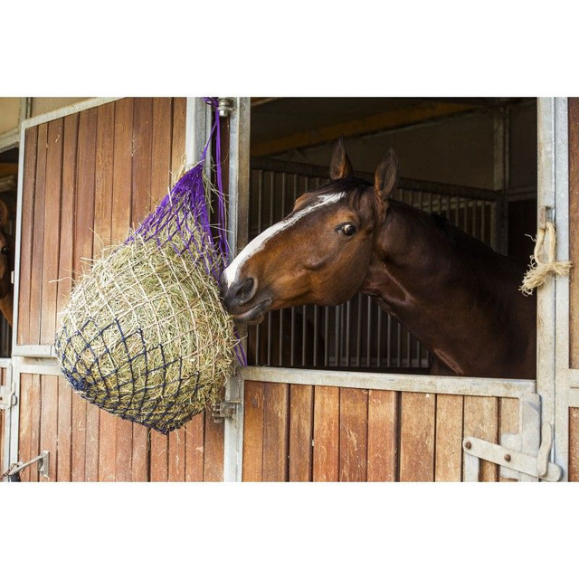 FILET À FOIN HIPPOTONIC TRICOLORE