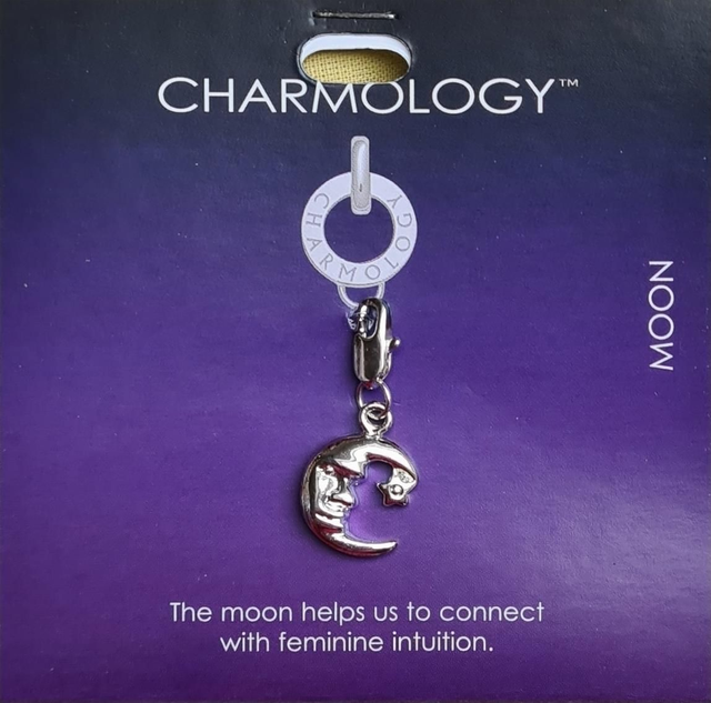Charmology charm moon silver lobster claw clasps