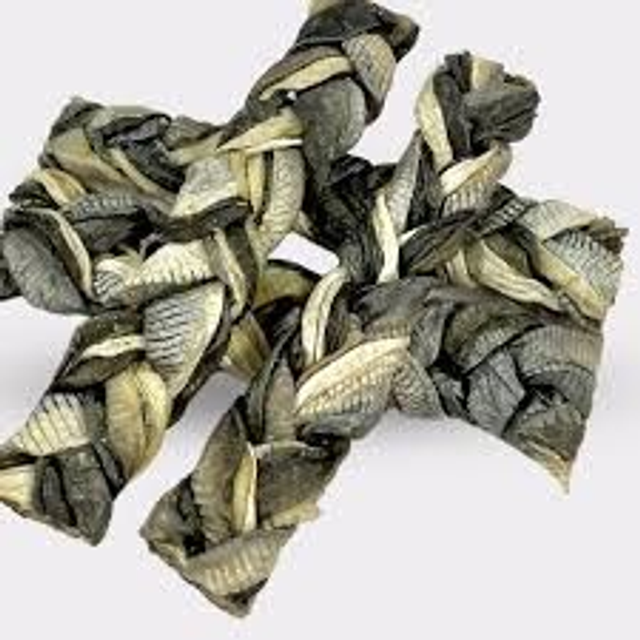 Fish Skin Braids