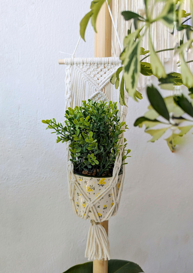 ENOLA Suspension pour plante