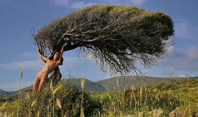 „Am Windflüchter“ (1/5)