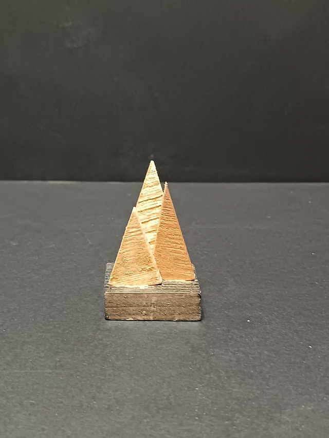 Triplette de sapins 2