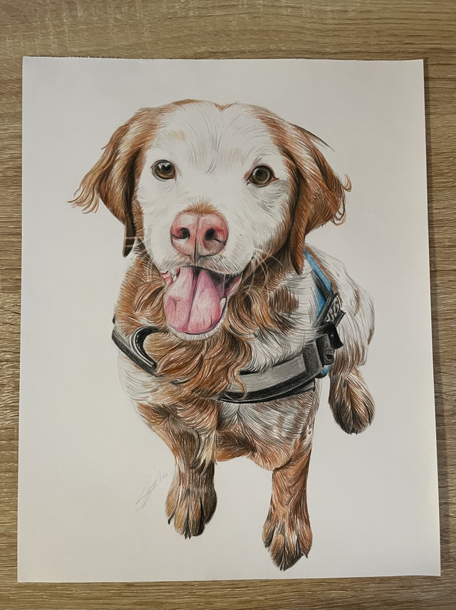 ♡ Portrait A4 en couleurs 